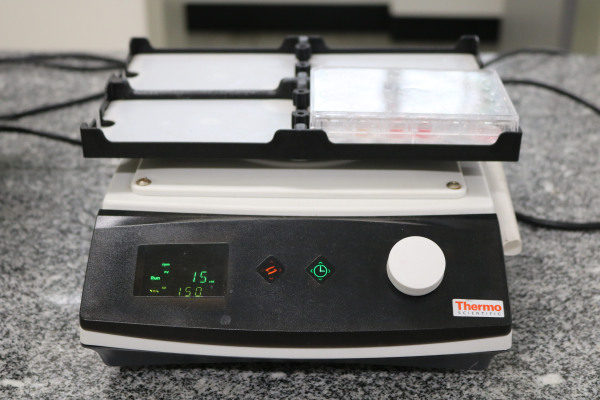 Agitador Thermo Scientific (1)